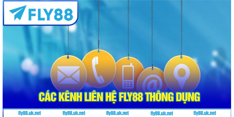 Các kênh liên hệ fly88 thông dụng