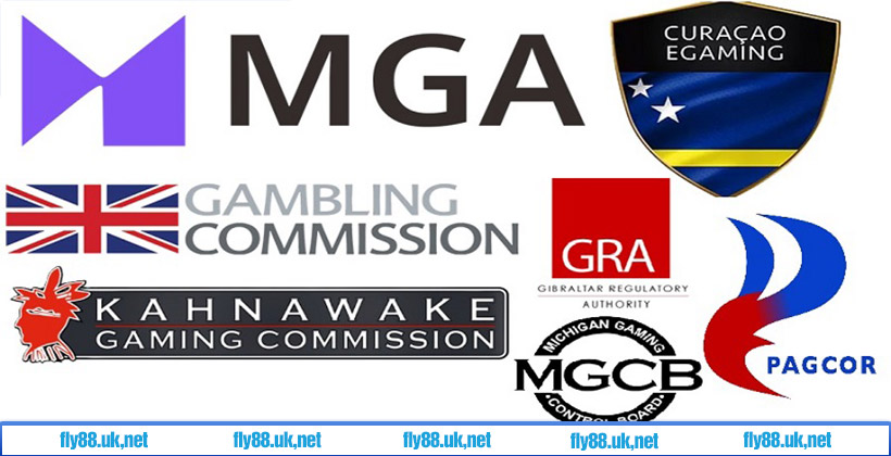 Các trang cấp phép quốc tế