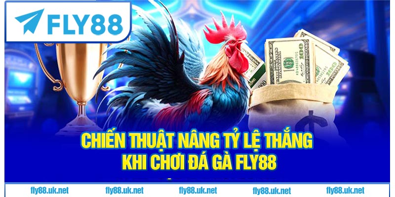 Chiến thuật nâng tỷ lệ thắng khi chơi đá gà Fly88