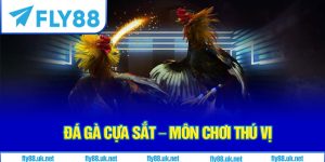 Đá Gà Cựa Sắt – Môn Chơi Thú Vị