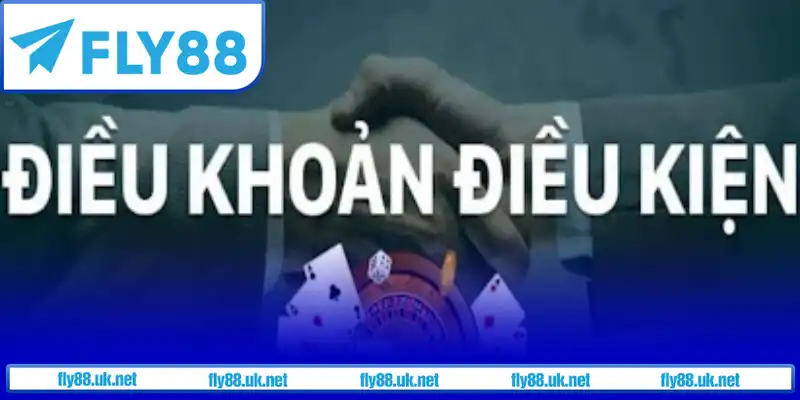 Các Điều Khoản Quan Trọng Khi Tham Gia Fly88