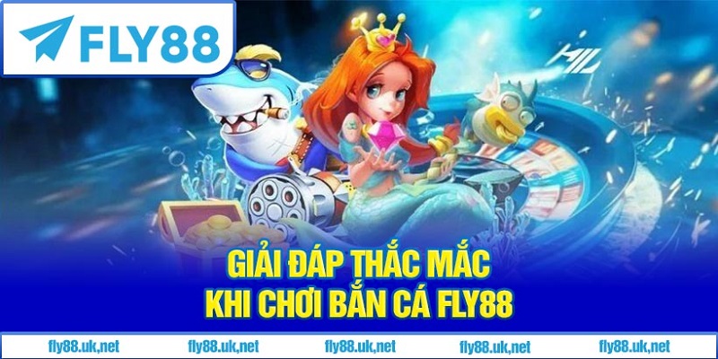 Giải đáp thắc mắc, xử lý sự cố thường gặp khi chơi bắn cá Fly88