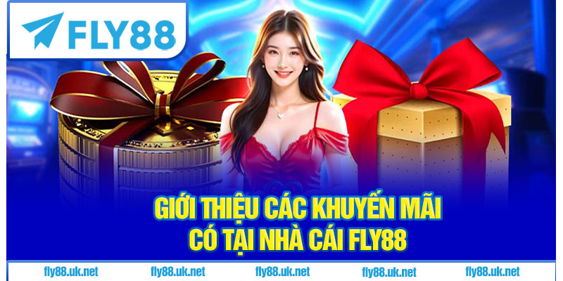 Giới thiệu các khuyến mãi tại nhà cái Fly88