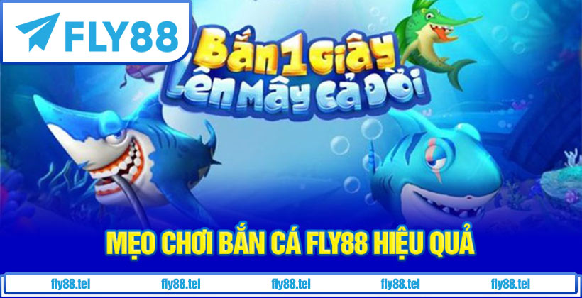 Mẹo chơi bắn cá online hiệu quả