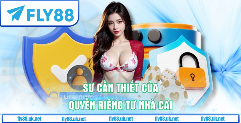 Sự cần thiết của chính sách quyền riêng tư