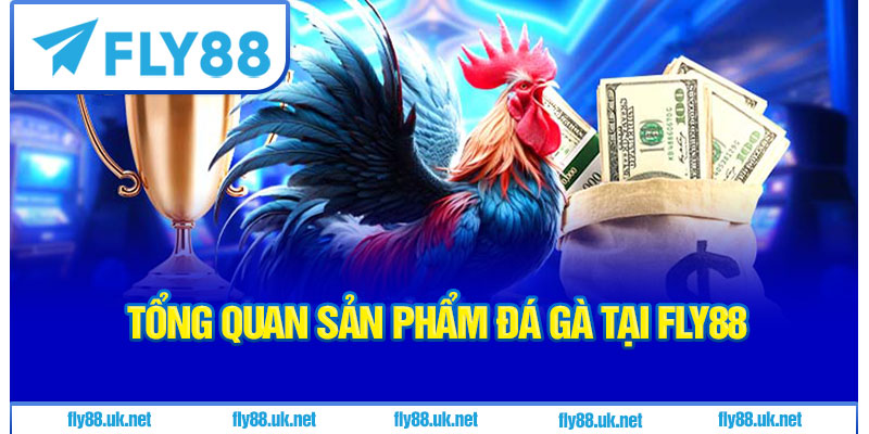 Giới thiệu tổng quan đá gà Fly88